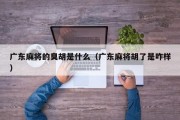 广东麻将的臭胡是什么（广东麻将胡了是咋样）
