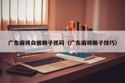 广东麻将白板赖子抓码（广东麻将赖子技巧）