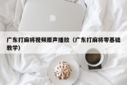 广东打麻将视频原声播放（广东打麻将零基础教学）