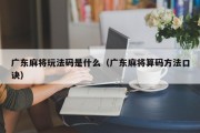 广东麻将玩法码是什么（广东麻将算码方法口诀）