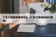 广东打麻将喷雾叫什么（广东打麻将的技巧视屏）