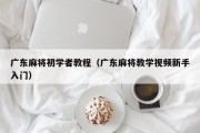 广东麻将初学者教程（广东麻将教学视频新手入门）